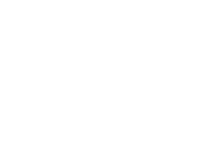 Cat In Colombia 2027