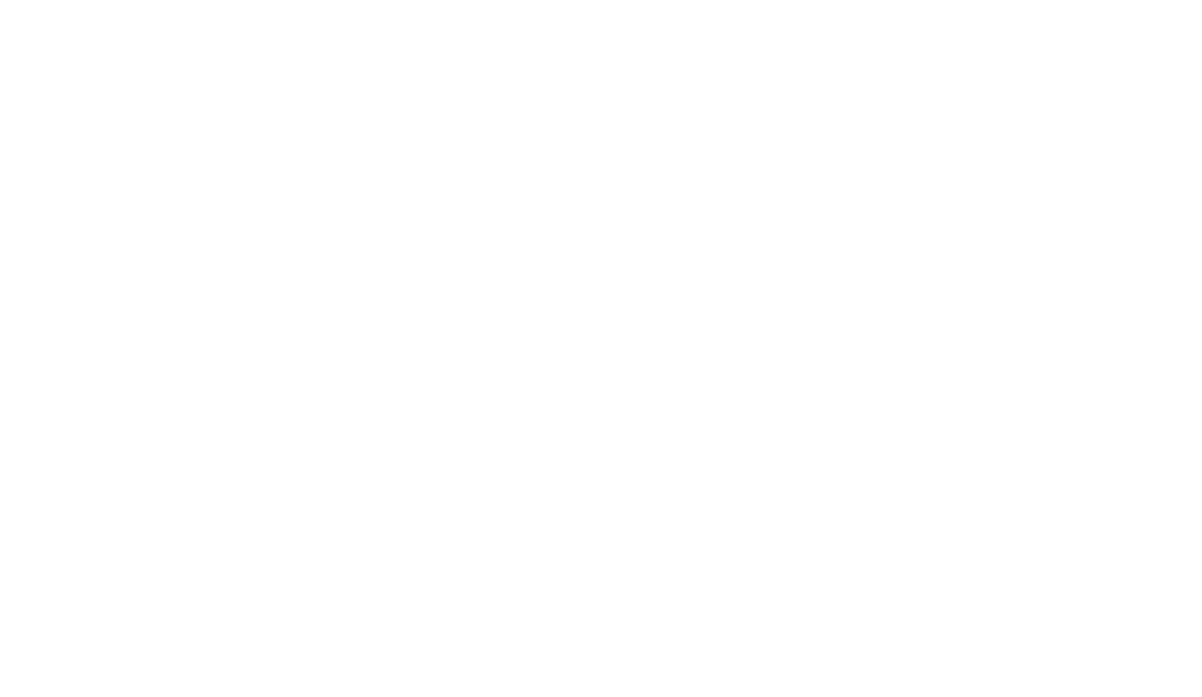 Cat In Colombia